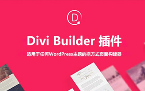 Divi Builder v4.27.4 中文汉化版 | WordPress 可视化页面构建插件