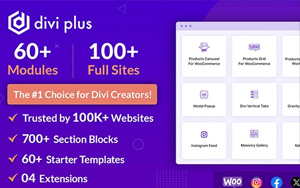 Divi Plus v1.17.0 中文汉化版 | WordPress Divi 主题增强插件