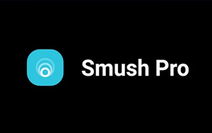 WP Smush Pro v3.22.1 中文汉化版 | WordPress 图片优化插件