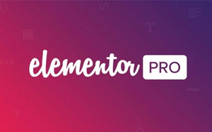 Elementor Pro v3.33.1 中文汉化版 | WordPress 页面构建器