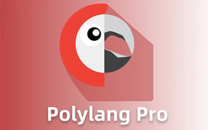 Polylang Pro v3.7.5 中文汉化版 | WordPress 多语言插件